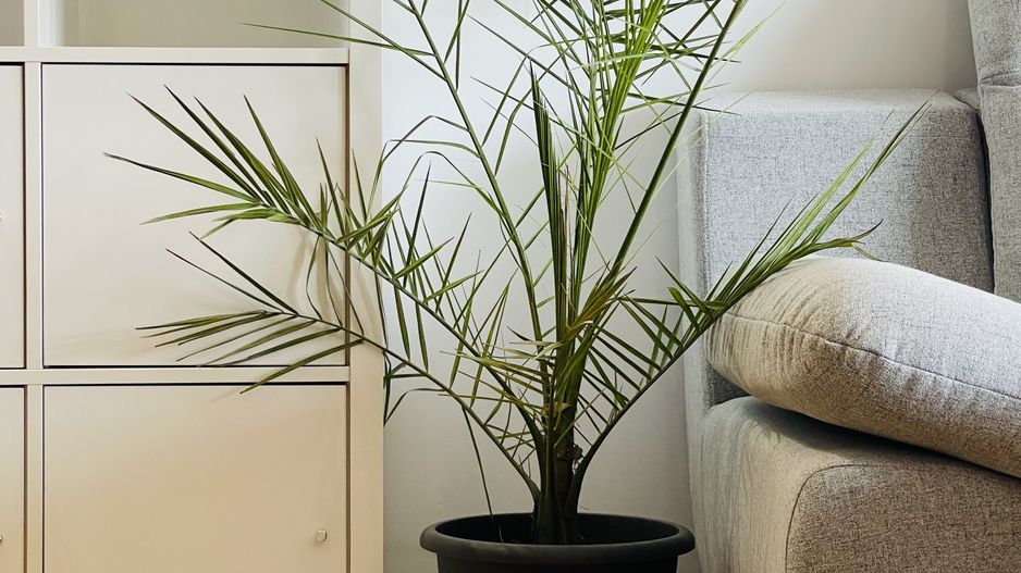 OFERTA INCHIRIATA - Segmentul Premium | Smart Home & Priveliste Impresionanta - Poză 34