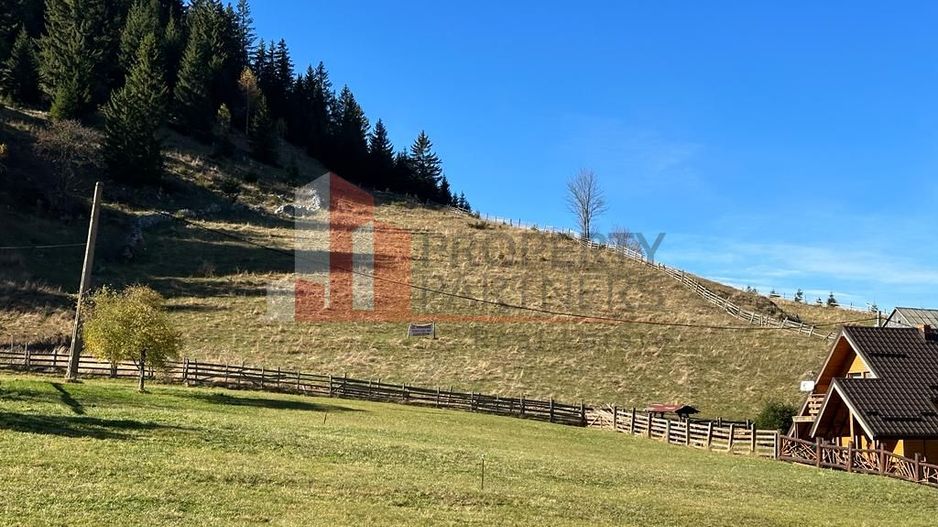 Teren Fundatica intravilan 4500 mp - Poză 14