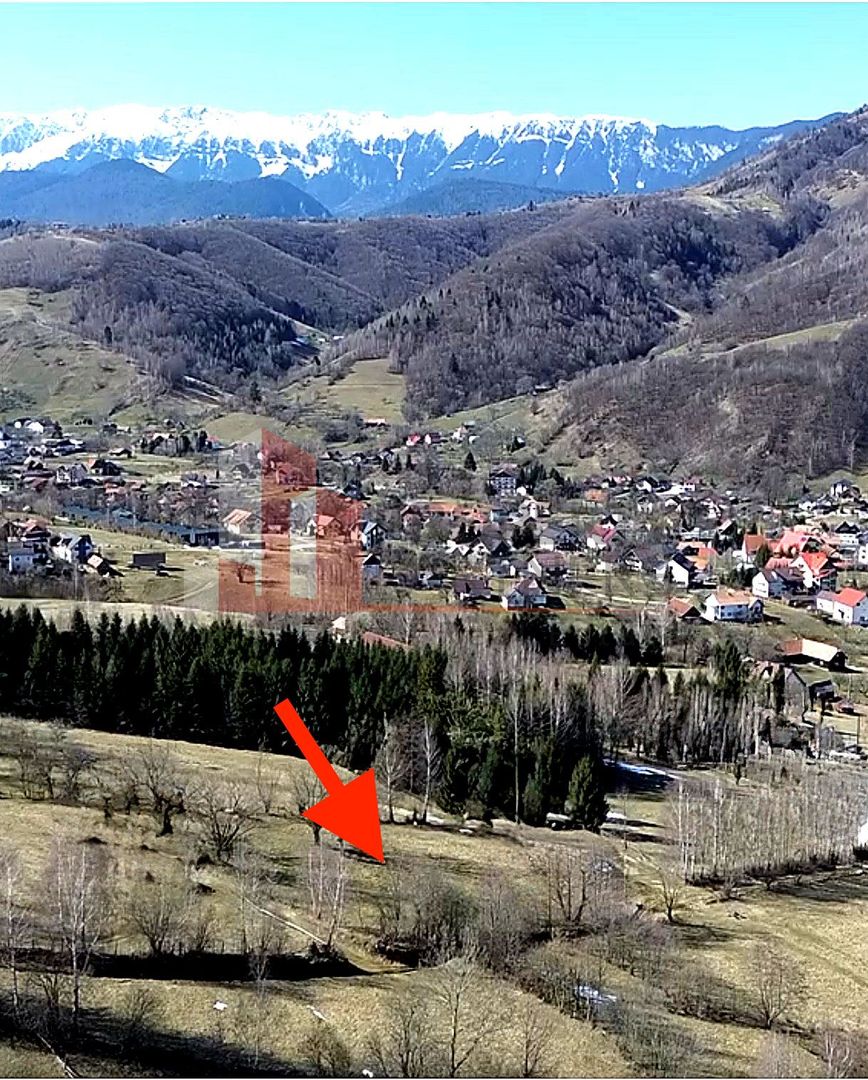Teren Bran | 3.520 mp | Vedere Bucegi & Castelul Bran - Poză 3