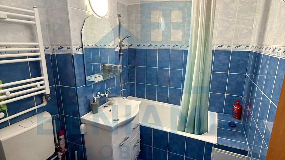 2 decomandate - parter - mobilat - utilat - Rovine - Posta - Poză 5