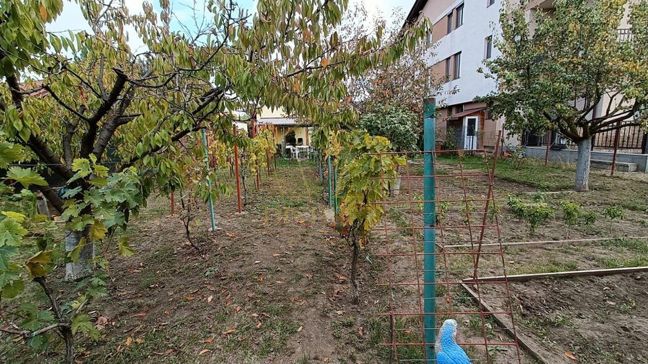 Casă 4 camere de închiriat | Curte mare | Dumbrăvița - Poză 28