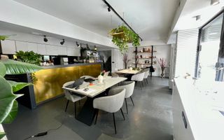 CHIRIE SPATIU COMERCIAL DOROBANTI PIATA FLOREASCA 230MP VAD VIZIBIL - Poză 5