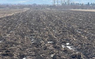 Teren Dancu deschidere la doua drumuri - Poză 7