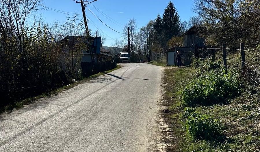 Teren 4044mp, 18 km de Campina, asfalt, utilitati, pretabil investitie - Poză 2