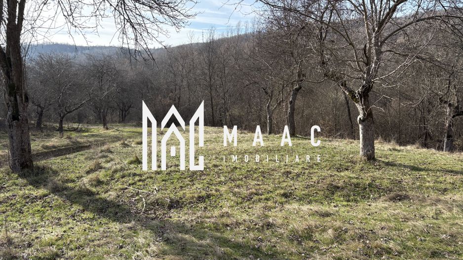 Teren  extravilan I 5300 mpI  Salatrucel -Calimanesti - Poză 6