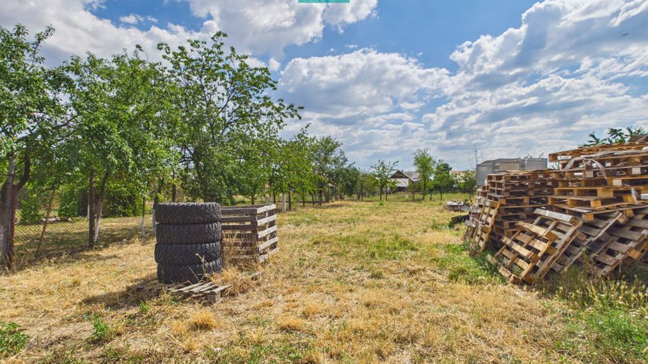 Clădire 446 mp | Teren 1.579 mp Nojorid - Poză 15
