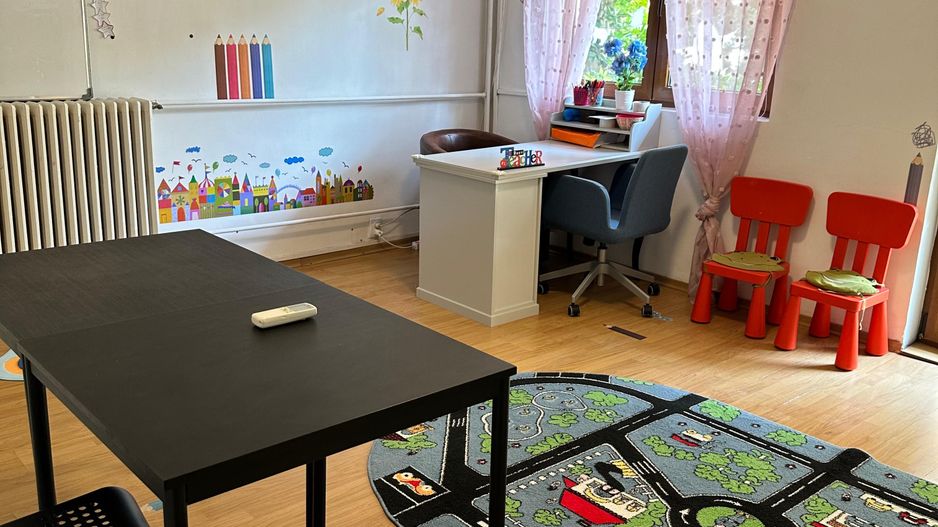 SPATIU COMERCIAL DOMENII, LOC PARCARE, CENTRALA, MOBILAT/UTILAT, CURTE - Poză 15