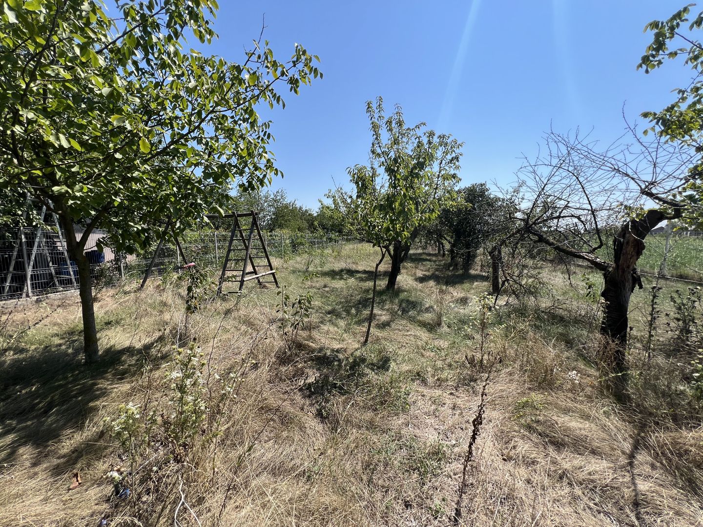 Vila superba cu teren Crevedia - Darza - Poză 33