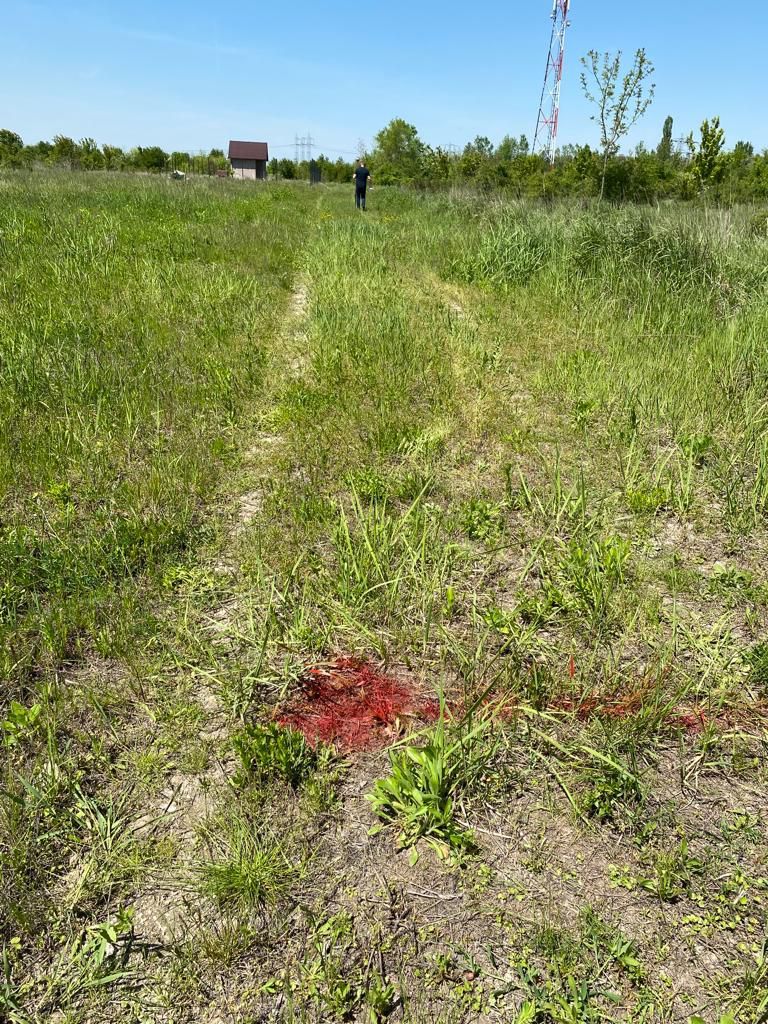 Teren la DN7 - ideal investitie (Benzinarie, spalatorie, hala) - Poză 3