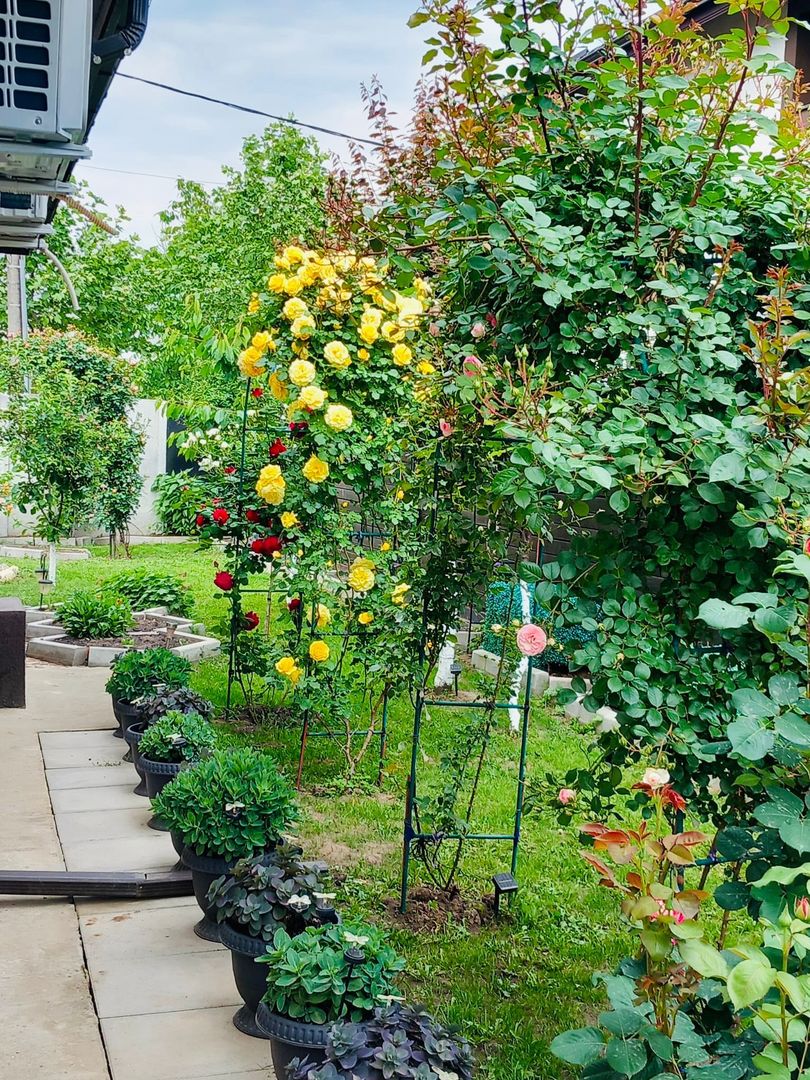 Parter cu structură pentru etaj, curte amenajată și organizare impeca - Poză 7