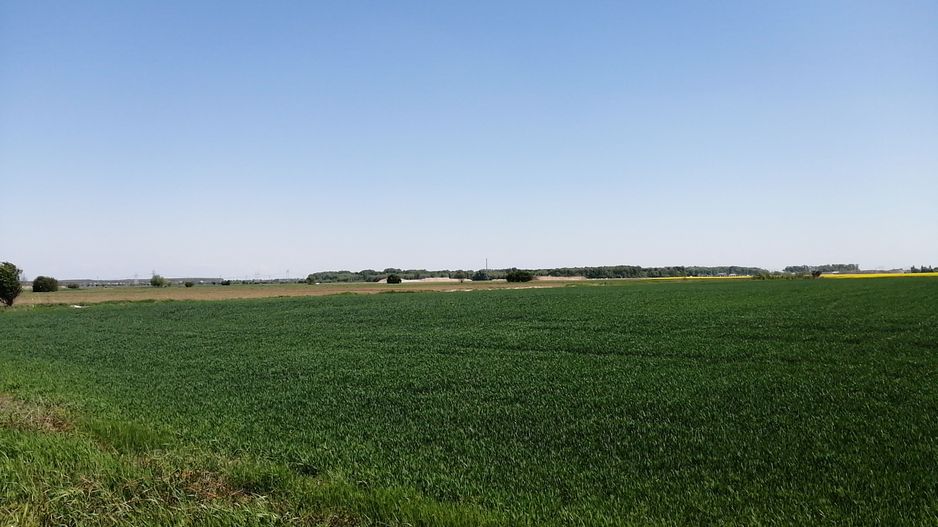 Teren intravilan 5114 mp in comuna 1 Decembrie - Ilfov - Poză 1