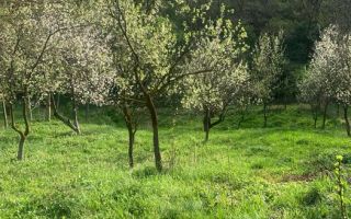 Casa Individuala I Acces Auto I Gradina I Rusi - Poză 3