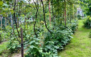 Casa de vanzare 6 camere zona Piata Cluj/Kogalniceanu/Turnisor - Poză 26