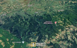 De vânzare teren extravilan  8,2037 ha pădure și pășune Borod, Bihor - Poză 2