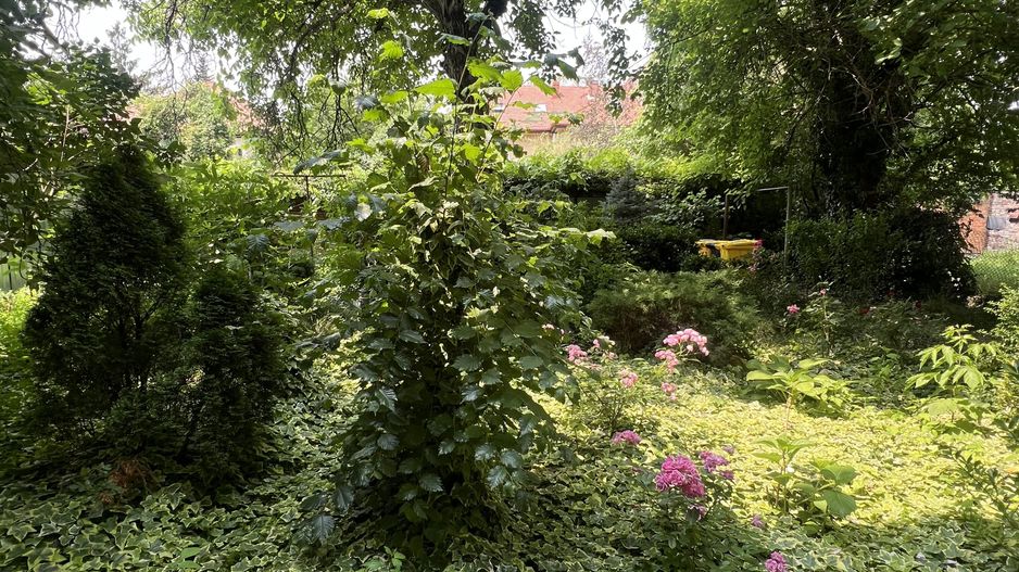 Apartament 2 cam str Sorin Titel - Bălcescu - Poză 17