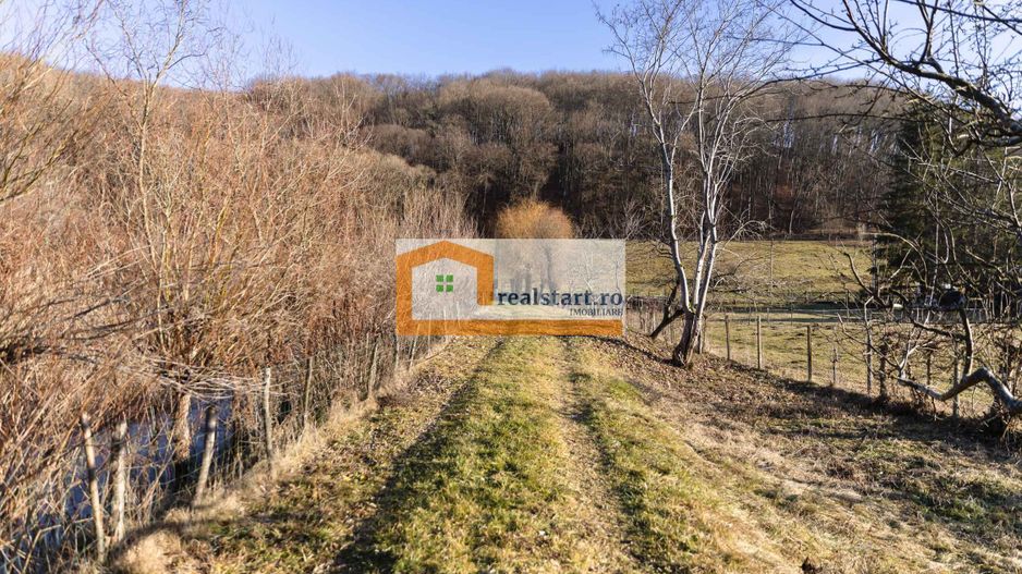 Langa Sighisoara, Inconjurata de Padure, Investitie, ROI min9% - Poză 48