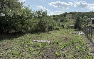 Casă + Teren 521 mp în Sat Bălteni, Comuna Probota, Județul Iași - Poză 9