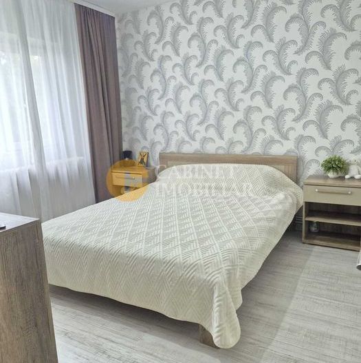 Nicolina 2 Prima Statie 3 camere 76mp - etaj 3/4 - renovat - Poză 4