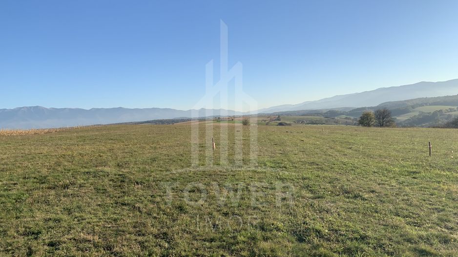 Teren pentru constructie cabana in Dealul Daii-parcele de 650 mp - Poză 2