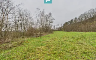 Casă cu teren de 24.679,73 mp, în Hălmagiu, Arad - Poză 33