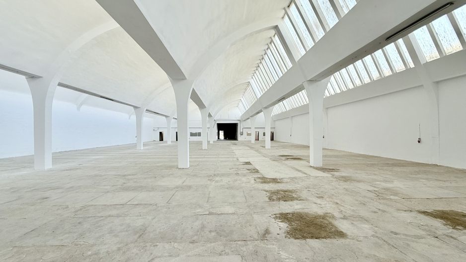 Hală industrială de producție/depozitare – Jilava, Str. Gării, 1797 mp - Poză 4