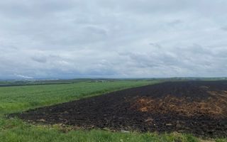 Teren Extravilan | Dornesti | 14.100 Mp - Poză 3