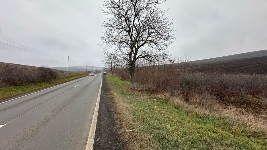 Teren 13.780 mp, Apahida, Cluj - Ideal pentru Investiție - Poză 4