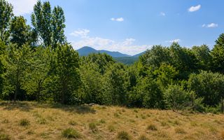 TEREN INTRAVILAN 1100 MP ÎN SĂCEL | ZONĂ PENTRU CASĂ + ACCES LA RÂU - Poză 4