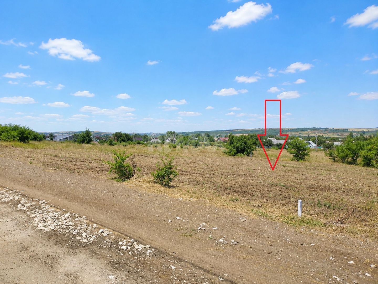 TEREN PENTRU CONSTRUCȚIE – 8 ARI | ȚÎNȚĂRENI- ANENII NOI - Poză 3