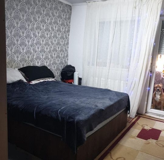 Apartament 3 camere satu mare micro 16 - Poză 5