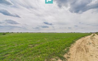 Teren extravilan 6150 mp - Giroc - Poză 3