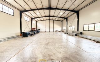 Hala industrială închirere – Vladimirescu, jud. Arad 500 mp - Poză 4