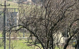 TEREN INTRAVILAN 2800MP CAMPULUNG ZONA PESCAREASA - Poză 10