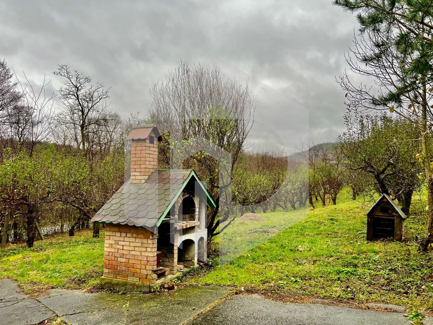 Casa de vanzare  in Talmacel-Teren 4000 mp cu livada+garaj - Poză 17