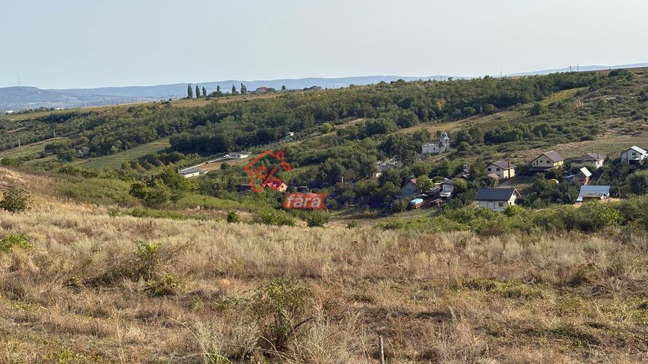 Teren Sorogari, 19000mp,  35euro/mp - Poză 5