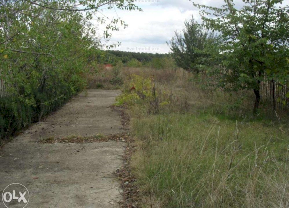 Teren la 35 km de Bucuresti - Izvorani - Ciolpani - Poză 14