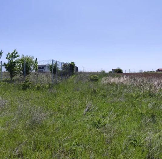 Teren intravilan Peris | 400 mp | Oportunitate investitie - Poză 3