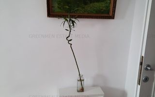 Oferta inchiriere  Ap 3 camere Ultracentral - Poză 13