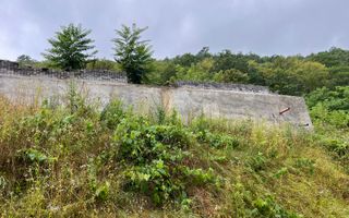 Proprietate cu potențial, într-un cadru natural de vis – 3581 mp teren - Poză 13