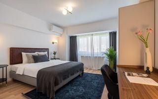 APARTAMENT SUPERB CU 3 CAMERE NOU RENOVAT IN BULEVARDUL UNIRII - Poză 5