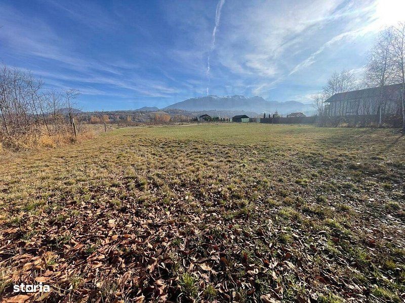 Teren 3349 mp de Vânzare | Bran – Panoramă Munții Bucegi - Poză 11