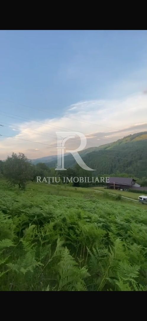Teren 10.900mp | Panoramă în Apuseni | Remeți -Ideal pentru Investitii - Poză 10