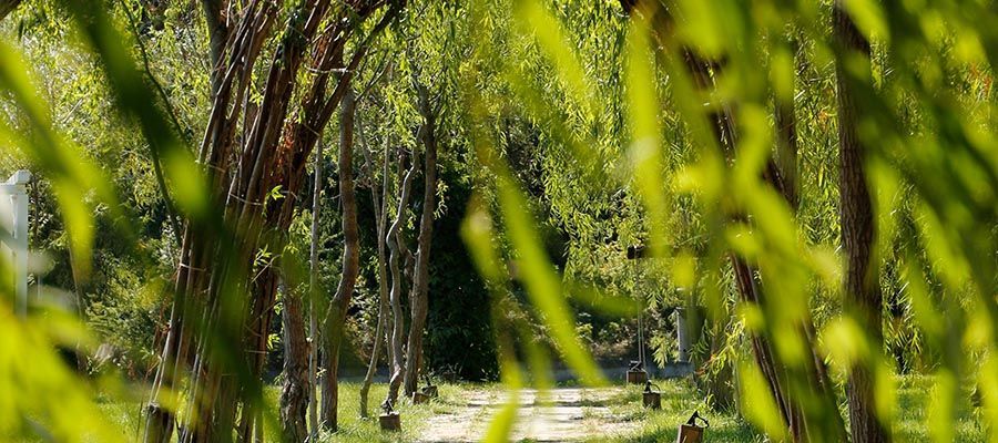 apartament 2 camera lakefield A1 - Poză 5