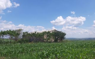 Teren cu spații industriale sau depozitare - Poză 5