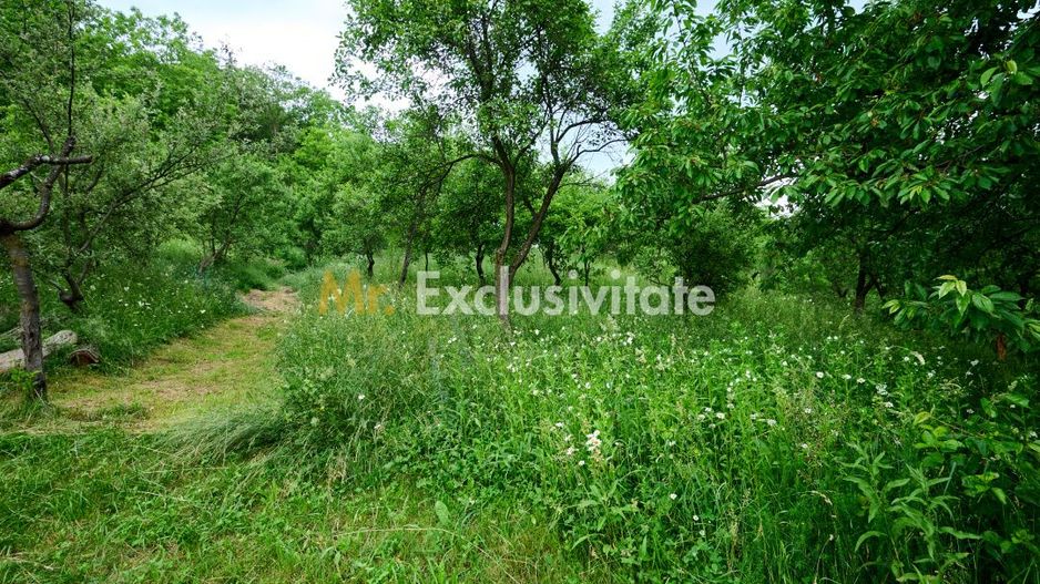 Casa cu teren generos - 4696 mp Apa Sarata - Campulung !! - Poză 12