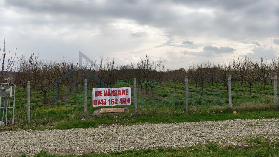 Teren intravilan de 5800 mp, sat Mădârjesti (lângă Sârca) - Poză 1