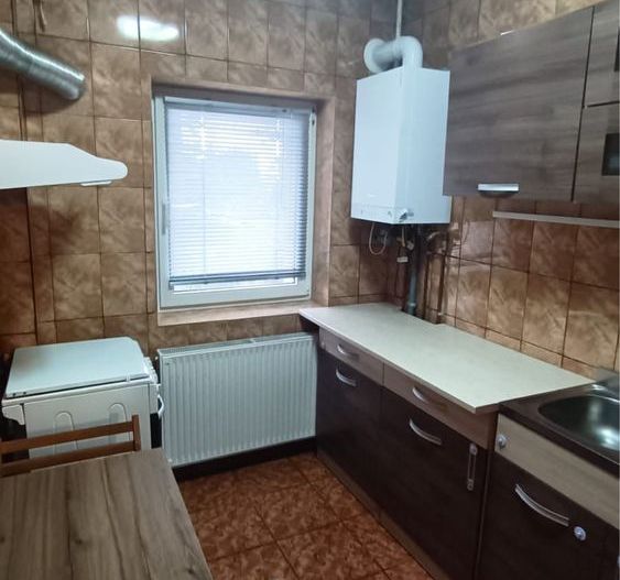Studio 50 mp, parter, centrală proprie, zonă liniștită, Grigorescu, pet friendly - Poză 4