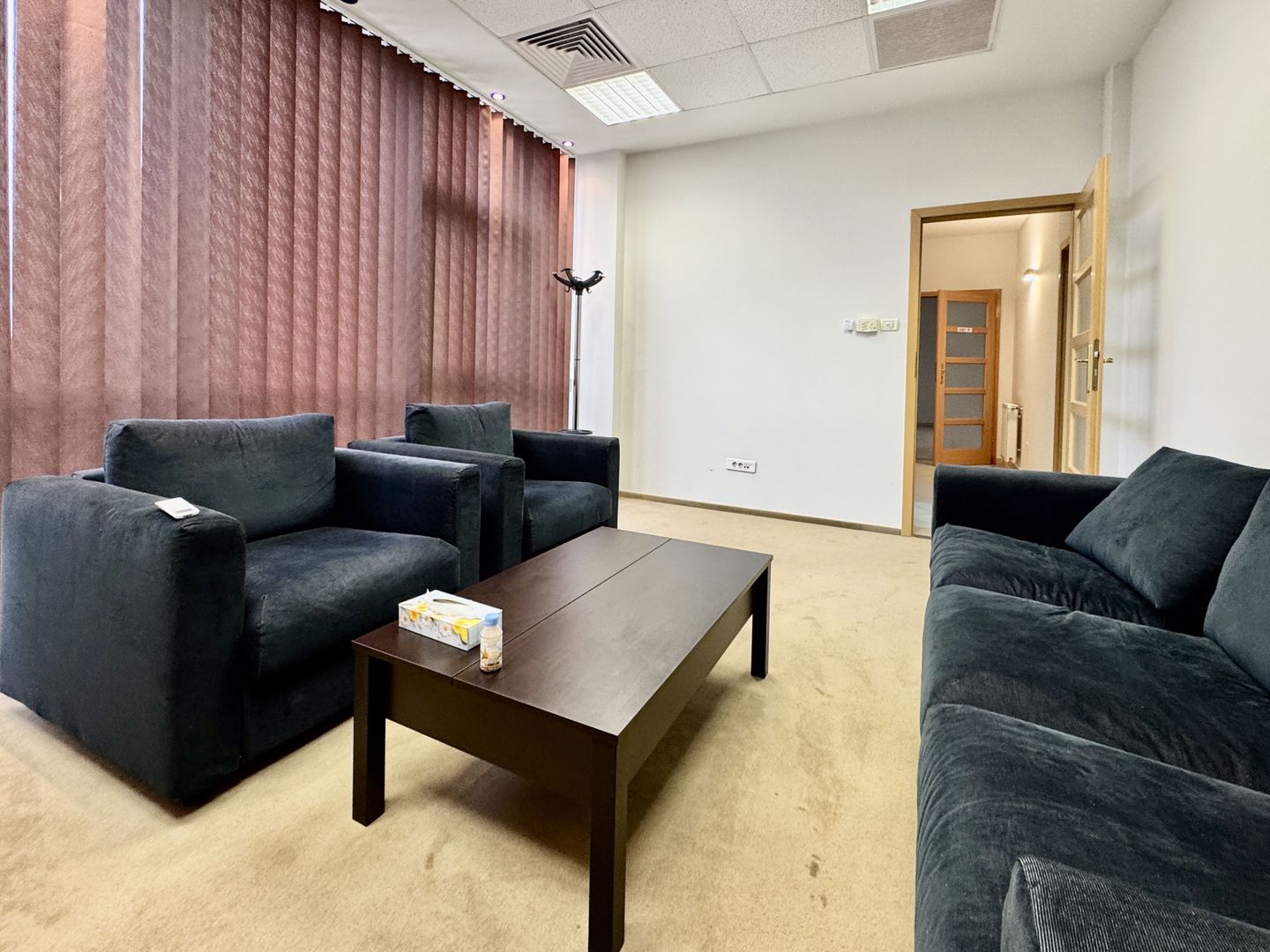 Spațiu pentru birouri langa Funshop Buziașului - Poză 28