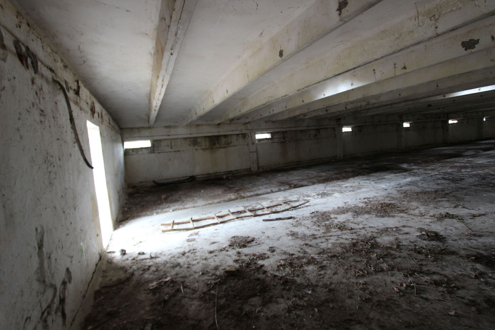 Vanzare hale Mosnita Noua-fosta Ferma 7 - Poză 20