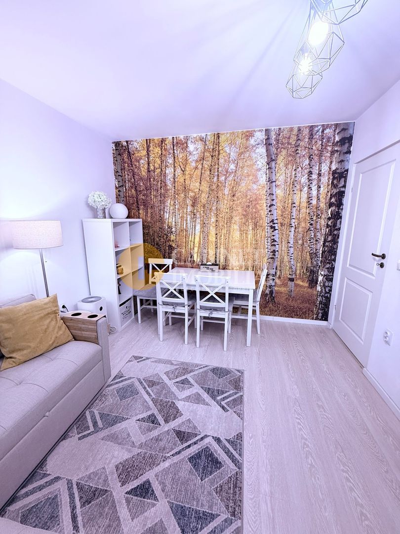 2 CAMERE DECOMANDAT--MOBILAT+UTILAT--STR. SOARELUI - Poză 3